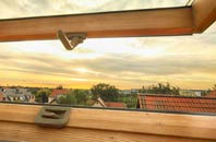 rated Walhampton roof window companies